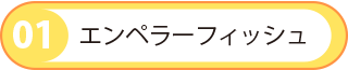 エンペラーフィッシュ